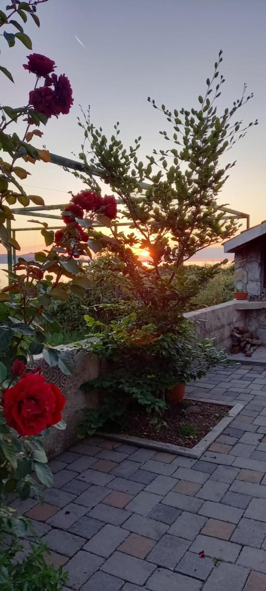 Apartament Mustapictanja Bibinje Zewnętrze zdjęcie